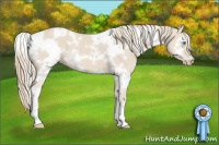 Horse Color:White Spotted Smoky Creme 