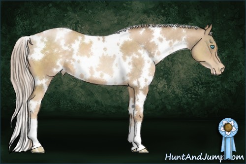Horse Color:White Spotted Chocolate Palomino Pearl
