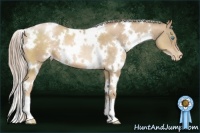 Horse Color:White Spotted Chocolate Palomino Pearl 