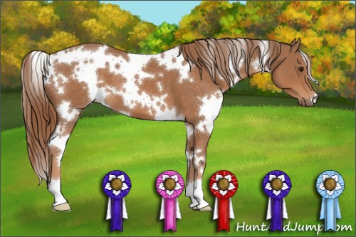 Horse Color:White Spotted Chestnut 
