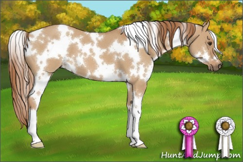 Horse Color:White Spotted Red Dun