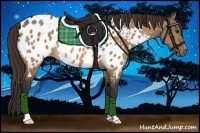 Horse Color:Brown Dun Appaloosa 
