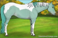 Horse Color:Watercolor Liver Red Dun Tobiano 