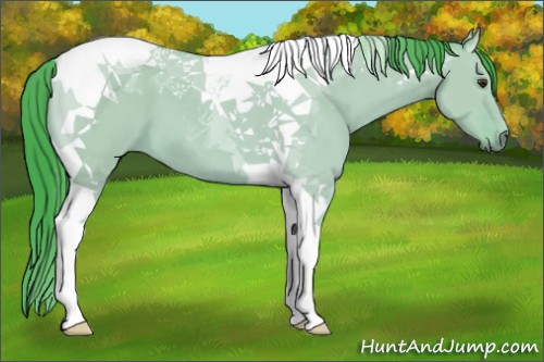 Horse Color:Watercolor Bay Dun Tobiano 