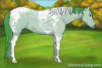 Horse Color:Watercolor Bay Dun Tobiano