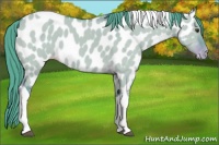 Horse Color:Watercolor Liver Red Dun Tobiano Appaloosa 