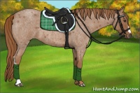 Horse Color:Red Roan 