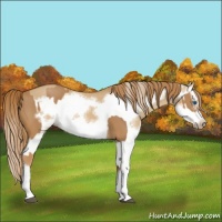 Horse Color:Chestnut Splash Frame and Red Dun Splash Frame