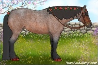 Horse Color:Brown Roan 