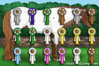 Horse Color:Gray Chestnut Appaloosa