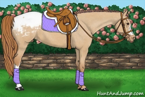 Horse Color:Red Dun Snowcap 