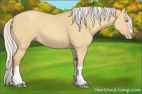 Horse Color:Silver Classic Champagne Dun Splash Frame 