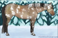 Horse Color:White Spotted Liver Red Dun 