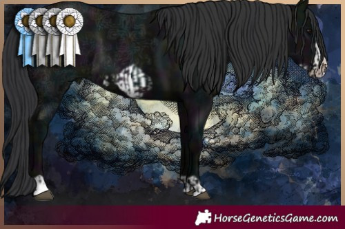 Horse Color:Midnight Black Ice  and Midnight Black Ice Frame 