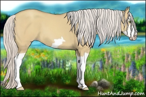 Horse Color:Silver Classic Champagne Dun Splash Frame 