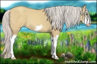 Horse Color:Silver Classic Champagne Dun Splash Frame 