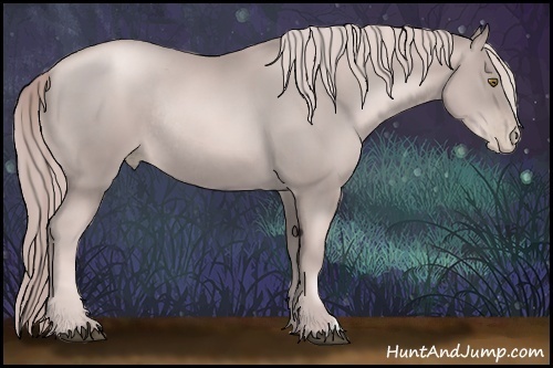Horse Color:Platinum Liver Chestnut Pearl Rabicano