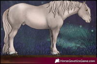 Horse Color:Platinum Liver Chestnut Pearl Rabicano 