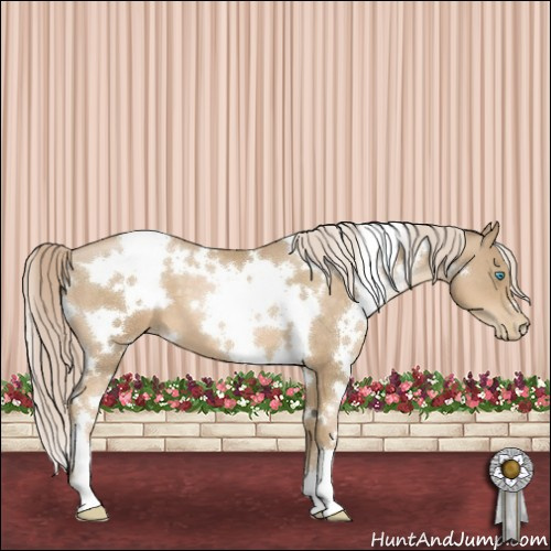 Horse Color:White Spotted Chocolate Palomino Pearl 