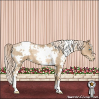 Horse Color:White Spotted Chocolate Palomino Pearl 