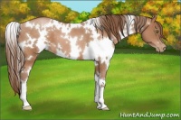 Horse Color:White Spotted Bay Pearl 
