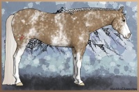 Horse Color:White Spotted Silver Smoky Black
