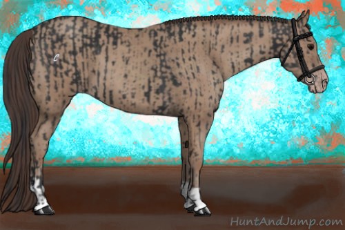 Horse Color:Black and Classic Champagne