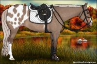 Horse Color:Silver Brown Dun Appaloosa 