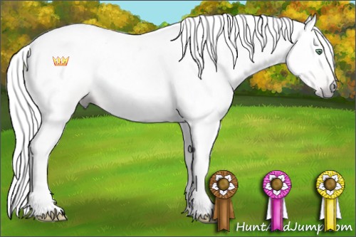 Horse Color:Gray Amber Cream Champagne Roan Tobiano Rabicano 
