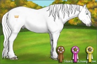 Horse Color:Gray Amber Cream Champagne Roan Tobiano Rabicano
