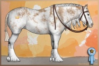 Horse Color:Chestnut Sabino