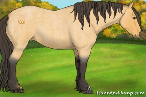 Horse Color:Buckskin Roan 