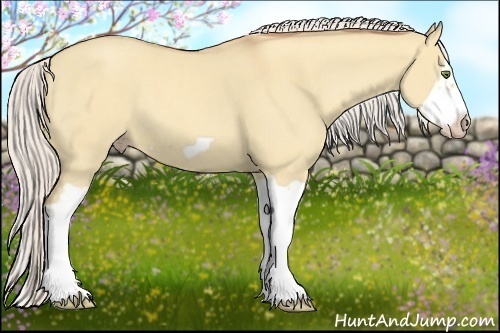 Horse Color:Silver Classic Champagne Dun Splash Frame 