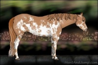 Horse Color:Chestnut Splash Frame  and Chestnut Splash Frame 