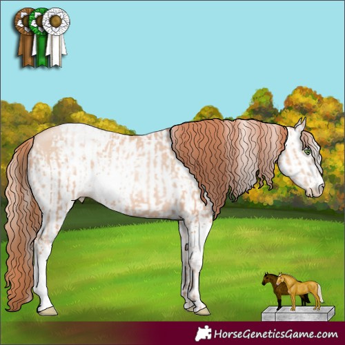 Horse Color:White Spotted Classic Champagne Pearl and White Spotted Classic Champagne Pearl