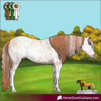 Horse Color:White Spotted Classic Champagne Pearl and White Spotted Classic Champagne Pearl