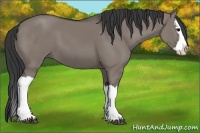 Horse Color:Grullo Splash 