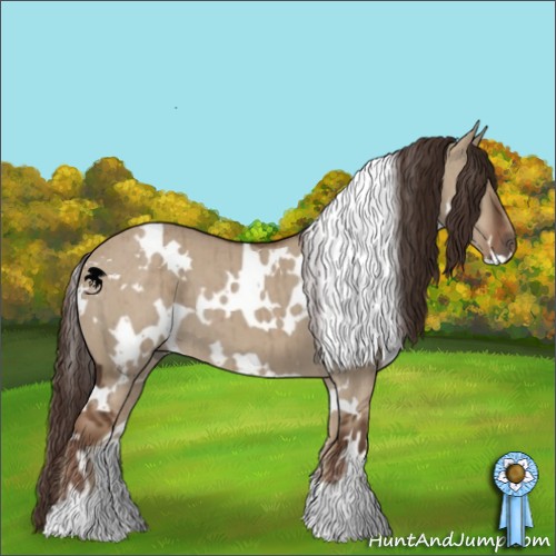 Horse Color:White Spotted Liver Red Dun Brindle