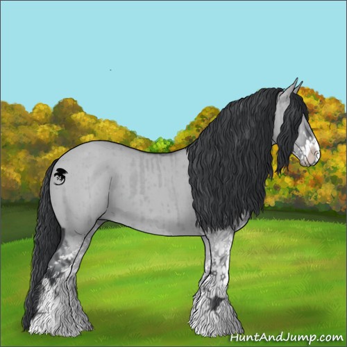 Horse Color:Grullo Chinchilla Sabino Brindle 