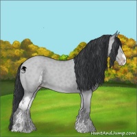 Horse Color:Classic Champagne Chinchilla Dun Sabino
