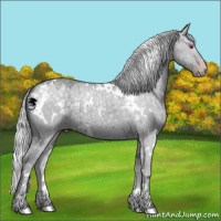 Horse Color:White Spotted Silver Classic Champagne Chinchilla Dun