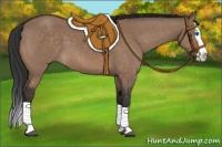 Horse Color:Bay Dun Splash 