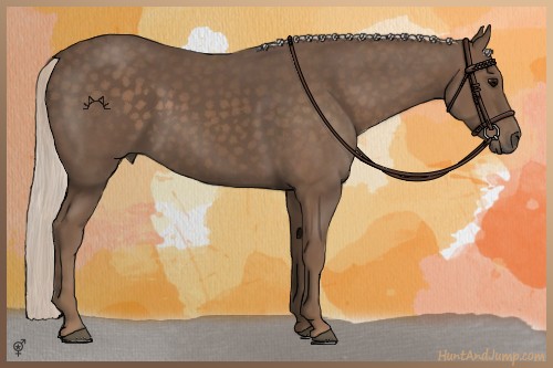 Horse Color:Silver Black 