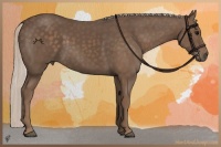 Horse Color:Silver Black 