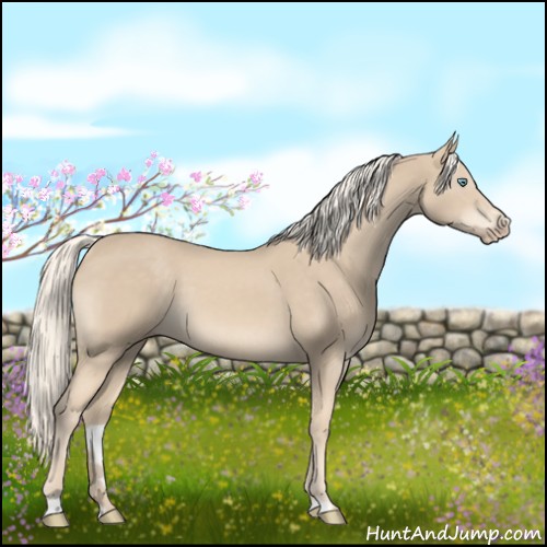 Horse Color:Cremello Sabino 