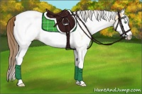 Horse Color:White Spotted Amber Cream Champagne Splash Appaloosa 