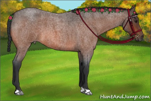 Horse Color:Brown Roan