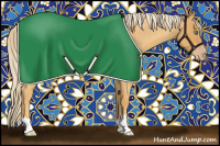 Horse Color:Gold Cream Champagne Roan 