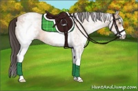 Horse Color:White Spotted Amber Champagne Roan 