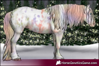 Horse Color:Nacre White Spotted Buckskin Pearl Blanket 